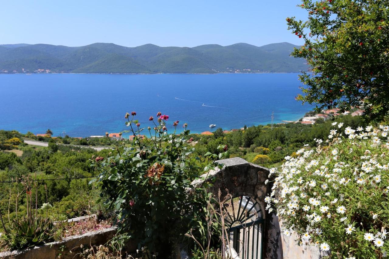 Holiday House With A Parking Space Viganj - Podac, Peljesac - 10141 المظهر الخارجي الصورة